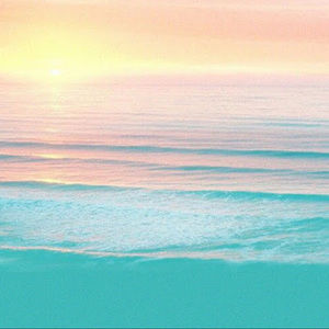 Meet your Posher, K.